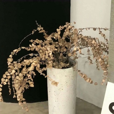 Furry圈创作干货兽圈社群